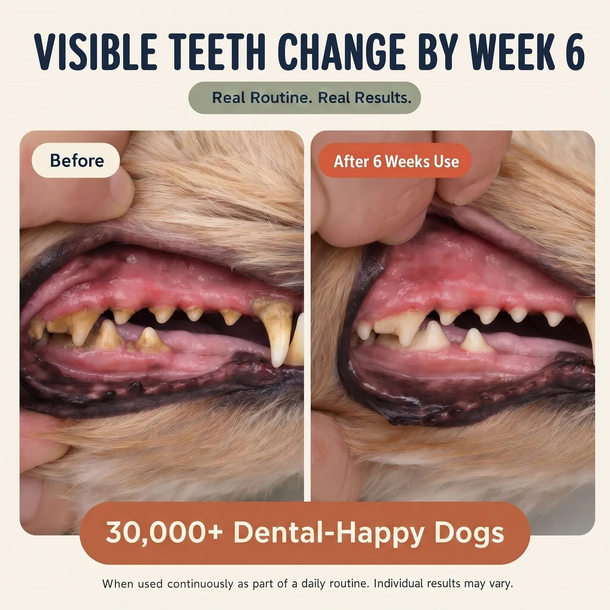 The Clinically Proven, Human-Grade Daily Dogbiotic™ That Reaches What Chews Can’t.
