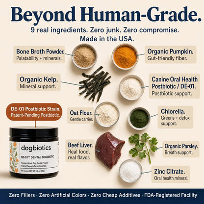 The Clinically Proven, Human-Grade Daily Dogbiotic™ That Reaches What Chews Can’t.