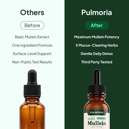 Clear Stuck Mucus & Restore Easy Breathing in Just 7 Days!
